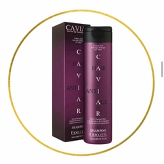 Shampoo caviar secos y castigados Fidelite