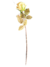 Haste de Rosas - Amarelo Âmbar na internet