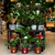 PLANTAS