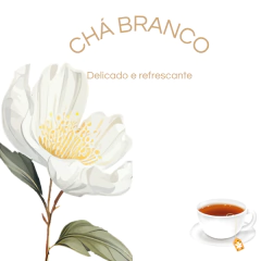Refil Home Spray Chá Branco - Melt the Candle