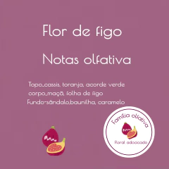 Vela Aromática Flor de Figo 100g - comprar online