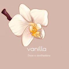 Refil Home Spray Vanilla - Melt the Candle