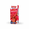 ILOLAY CHOCOLATADA 200ML