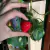 Imagen de Balsamo Labial Frutilla