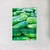 Mascarilla Pepino - CHOVEMOAR Fruits and Vegetables