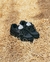 HOCKS PUFF PRETO/ REFLETIVO - comprar online