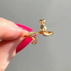 ANEL DE GATO