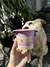PAWER COOKIES - PETISCO WOW PARA CÃES E GATOS - Cane Lovers Pet Store