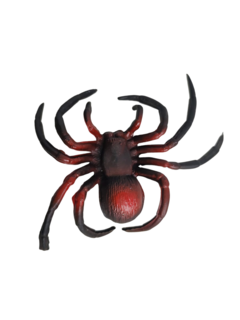 Aranha Colr Kit com 5un na internet