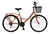 BICICLETA TOMASELLI R26 DAMA