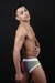 Microboxer Rainbow