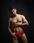 Microboxer Rojo y Negro - Microtul - comprar online
