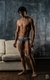 Microboxer gris en internet