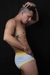 Microboxer pato donald en internet