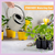 Regadera Jardin Acero Inoxidable 1.3L - comprar online