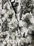 Vestido estampado GG Susan Zheng - comprar online