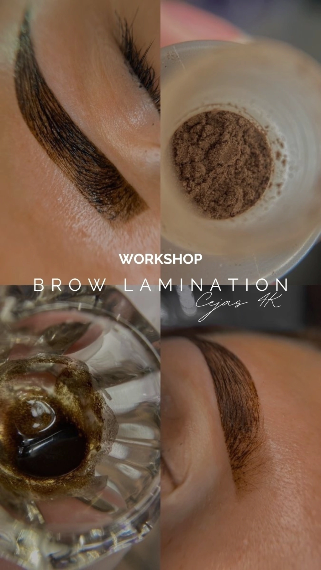 LASH LIFTING técnicas actualizadas + PEFECT BROWS+ VISUAL & MKT
