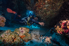 Banner de la categoría Advanced Open Water - 2 Días