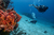 Buceo certificado 2 tanques barco dentro del parque marino