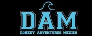 Donkey Adventures
