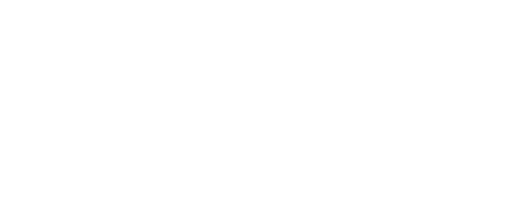 HUMAN CONCEPT