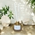 Difusor de varetas Conexão Interior 250ml com cinco varetas brancas de algodão, energizado com cristais de ametista e aroma de bamboo.