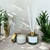 Um difusor de varetas Leveza do Ser 250ml energizado com cristais de quartzo verde e aroma fresco de alecrim.