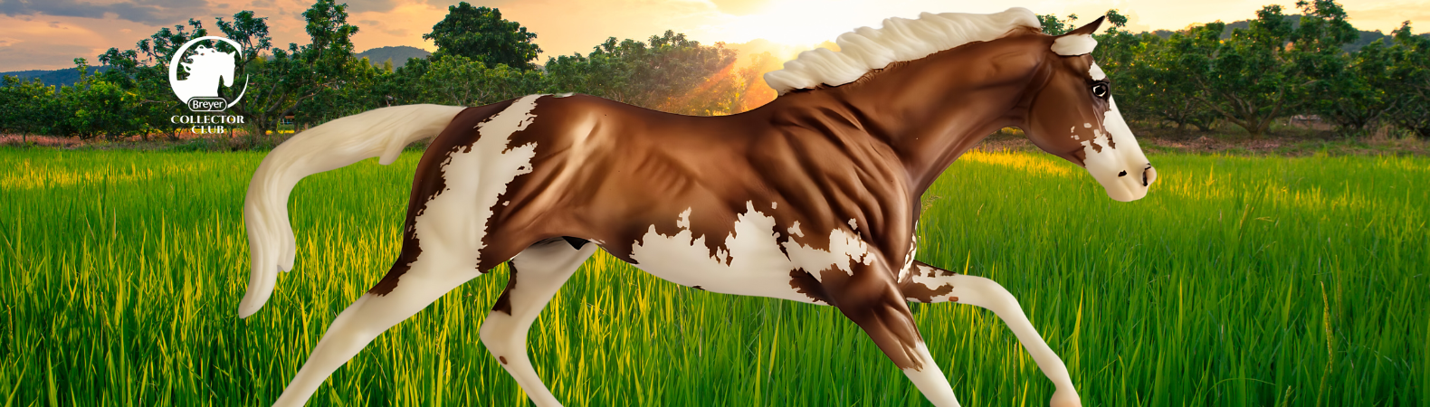 Carrusel 4