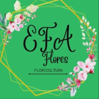 EFAFLORES E PLANTAS
