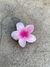 Broche flower - FILIPA ACCESORIOS