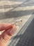 Anillo aurora + Alianza en internet