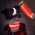 Collar Rojo LED para Mascotas - comprar online