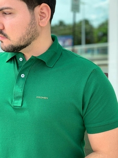 POLO PIQUET PROMEN - VERDE BANDEIRA - LF GRIFES