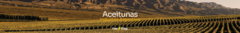 Banner de la categoría Aceitunas