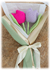 Ramito de 2 Tulipanes
