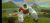 Megapithecus Pestis - loja online