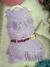 Conjunto infantil Blogueirinha Boiadeira Maraisa na internet