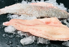 Banner de la categoría FILETES CONGELADOS