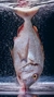 BESUGO ENTERO FRESCO EL PRECIO ES POR 1 KG (Red porgy) en internet