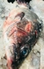 CHERNIA ENTERA ,( Wreckfish) PRECIO X 1 KG ,( pesan entre 2kg a 2,800 kg ) - FISHARTHOME