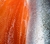 FILET DE TRUCHA FRESCO SIN ESPINAS , x 500 GRS (Fresh Boneless Trout Fillet) - comprar online