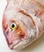 BESUGO ENTERO FRESCO EL PRECIO ES POR 1 KG (Red porgy) - comprar online