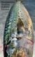 CABALLA ENTERA FRESCA , PRECIO X 1 KG (Mackerel) - comprar online