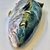 PEZ LIMON ENTERO PRECIO X 1 KG ( PESAN ENTRE 3 A 4 KGRS ) (Whole Yellowtail Amberjack) - comprar online