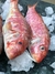 TRILLA ENTERA FRESCA - Red mullet PRECIO X 1 KG - comprar online