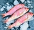 TRILLA ENTERA FRESCA - Red mullet PRECIO X 1 KG en internet