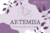 ARTEMISA CARD 1000