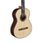 Guitarra 80 Fishman preys