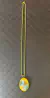 Colar jardim super elegante fundo amarelo