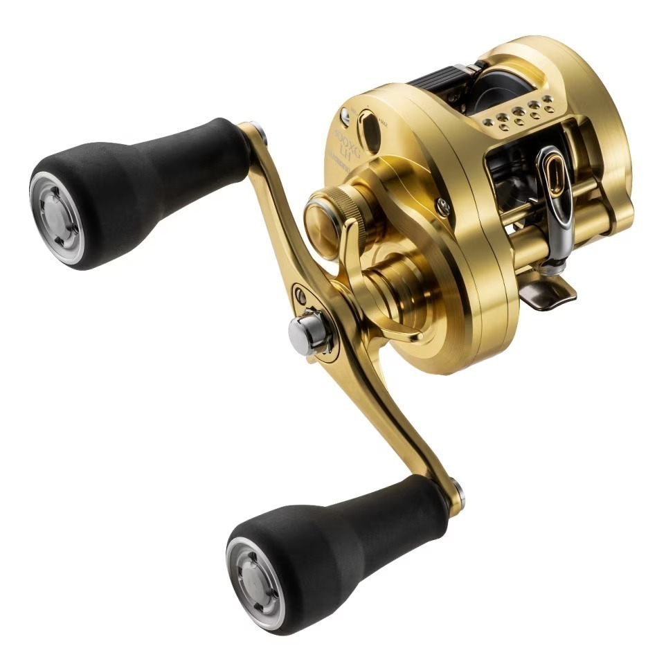 SHIMANO CALCUTTA CONQUEST 200 ゴールド Shimano Calcutta Conquest MD - Pescar Importa